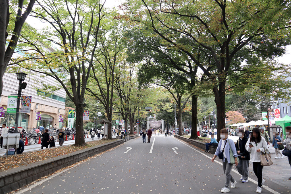 緑豊かな木々が両側に並ぶ歩行者天国の様子を撮影した写真。府中市のイベント会場や散策スポットとして利用されている通りで、多くの人が行き交い、にぎわいを見せています。落ち葉が少し地面に散らばり、秋らしい季節感が感じられます。