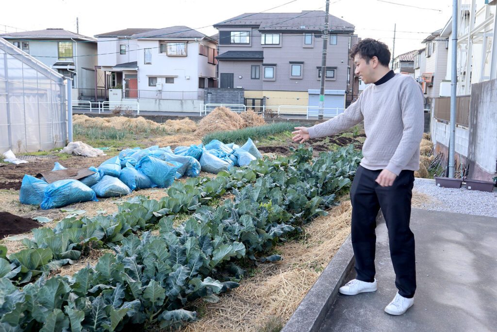 野菜畑を指さす男性の写真。畑にはキャベツのような緑の葉野菜が整然と植えられており、右側には住宅街が見えます。左側にはビニールハウスや農作業用のトラクターがあり、地面には青い袋が積まれています。男性は畑の一部を指しながら説明している様子です。